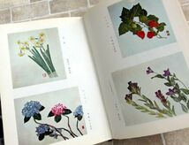 【古書】金森九郎 原色押花 たたら書房 昭和46年 植物 理論と器剤 採集方法 紫外線やけ防止方法_画像6