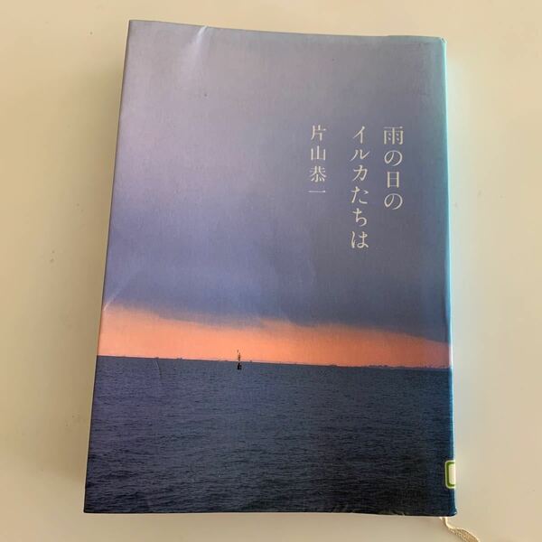 雨の日のイルカたちは 片山恭一／著