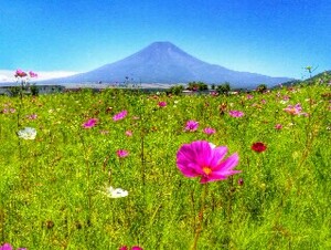  World Heritage Mt Fuji photograph A4 moreover, 2L version amount attaching 