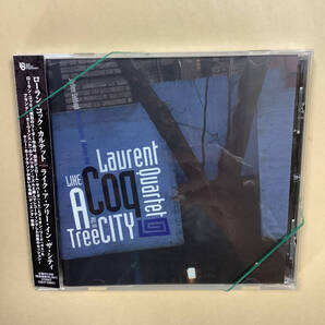 送料無料 ローラン コック カルテット「LIKE A TREE IN THE CITY」国内盤