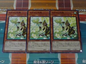 遊戯王　マタタビ仙狸　ノーマル　3枚セット　プレイ用　　R040913　