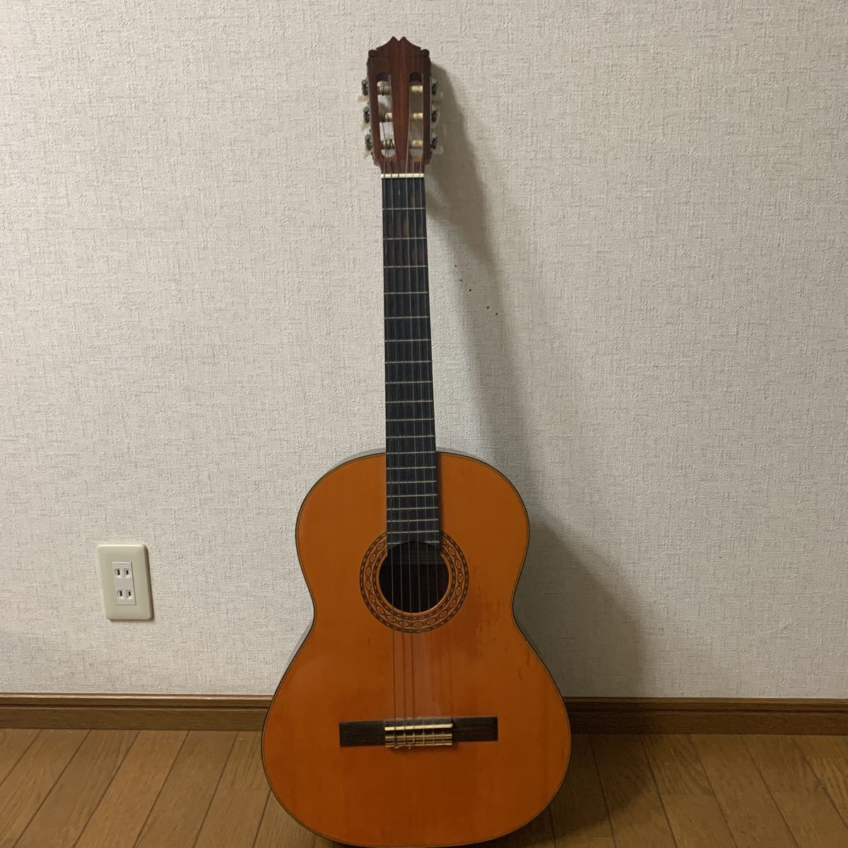 ヤフオク! -「shinano ギター」(本体) (クラシックギター)の落札相場 