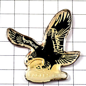  pin badge * black . Eagle ...* France limitation pin z* rare . Vintage thing pin bachi