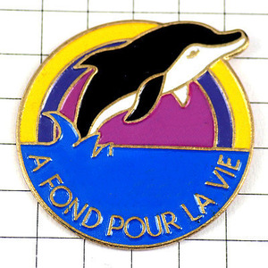  pin badge * dolphin sea car chi. Jump rainbow * France limitation pin z* rare . Vintage thing pin bachi