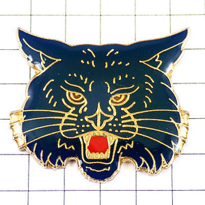  pin badge *. raw. cat yama cat ....* France limitation pin z* rare . Vintage thing pin bachi