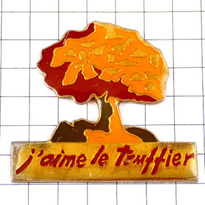 ピンバッジ・茶色い木エコロジー秋の紅葉◆フランス限定ピンズ◆レアなヴィンテージものピンバッチ