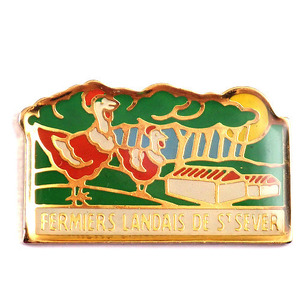  pin badge * female bird chicken agriculture place . sun * France limitation pin z* rare . Vintage thing pin bachi