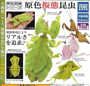 即決》原色図鑑シリーズ 原色擬態昆虫【全４種フルコンプセット】 送料140円～ 新品未開封 オオコノハムシ/ハナカマキリ/コノハカマキリ