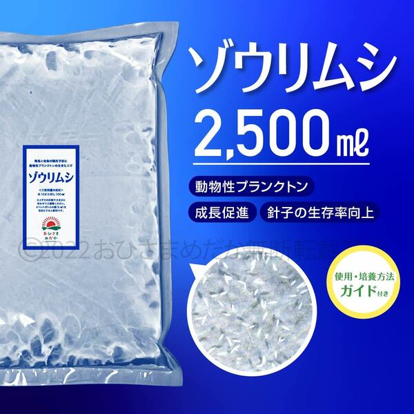 超濃縮　ゾウリムシ 2500ml　 めだか　メダカ　針子　熱帯魚 ベタ 稚魚 　psb　 金魚　ミジンコ　クロレラ　らんちゅう 培養ガイド付き