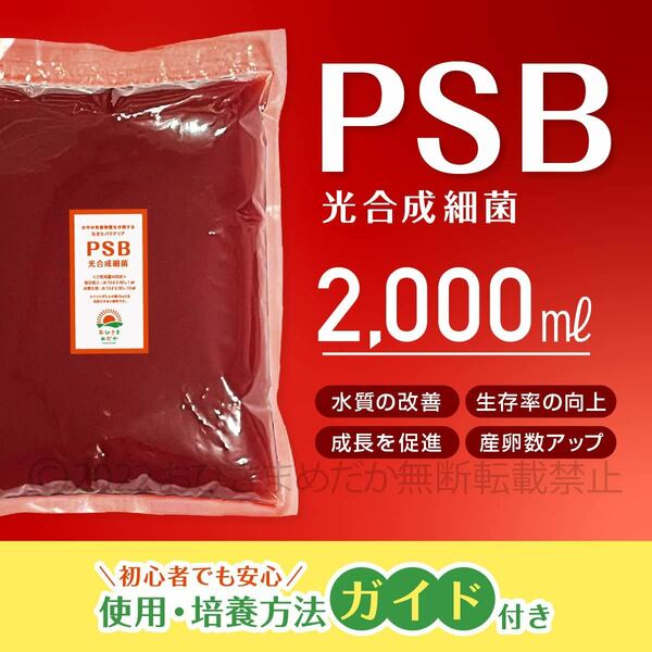 超濃縮版　PSB　光合成細菌　2000ml　メダカ めだか 金魚　らんちゅう　ミジンコ　ゾウリムシ　バクテリア　クロレラ　の培養ガイド付き