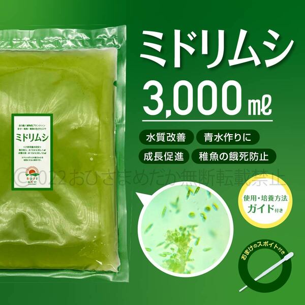 【ミドリムシ　種水　3000ml　送料無料】 めだか　メダカ　針子　エサ 稚魚 ベタ　psb　 金魚　ミジンコ　クロレラ　ゾウリムシ などに