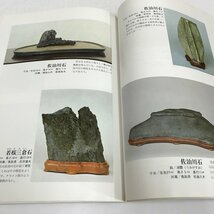 NB/L/水石 山水の詩情 「盆栽世界」別冊/編者：村田圭司/樹石社/昭和56年/水盤 名石/傷みあり_画像6