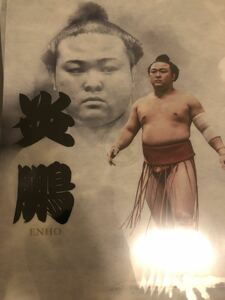 炎鵬　A4 クリアファイル　大相撲