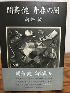 開高健 青春の闇　向井敏　帯　初版第一刷　未読極美品