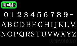 【ステンレス製 磨き仕上！】★切文字パネル/切り抜き文字【1文字】★アルファベット（A～Z）数字（0～9）/大文字・Lサイズ・明朝体