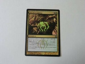 MTG 美品 【ゴルガリの魔除け】 （アンコモン） RTR 日 9枚迄