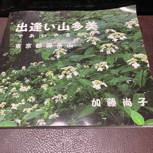 【出逢い山多美・東京都御嶽山】加藤尚子　2014年　四季折々　作品目録付き　長尾平　ロックガーデン　滝　若葉　紅葉【22/09 C3】