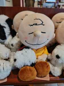 USJ Snoopy Charlie Brown Snoopy ... soft toy purchase agent 