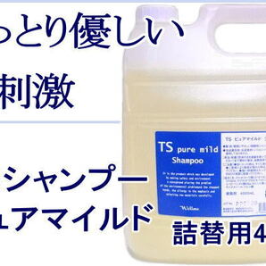 ＴＳピュアマイルドシャンプー詰替用４Ｌ 環境にやさしく低刺激 しっとり感アップ 無添加 ほのかなオレンジの香り 業務用 サロン専売品