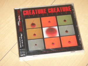 CreatureCreature/PSYCHETELOS/会場限定CD/DEAD END/MORRIE/Creature Creature/DEADEND/プシュケーテロス