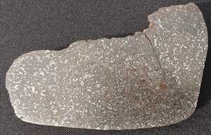 [ rare ] stone quality meteorite NWA xxx 119g