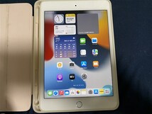 Apple iPad mini 第5世代 64GB WI-FI モデル 本体 白ロム カバー付き！！_画像1