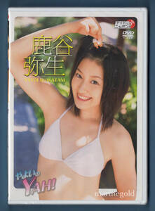 新品DVD★LPFD-116 鹿谷弥生 やよいのYAH！ / リバプール