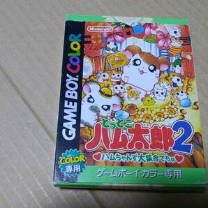 とっとこハム太郎2ハムちゃんず大集合でちゅ ゲームボーイ