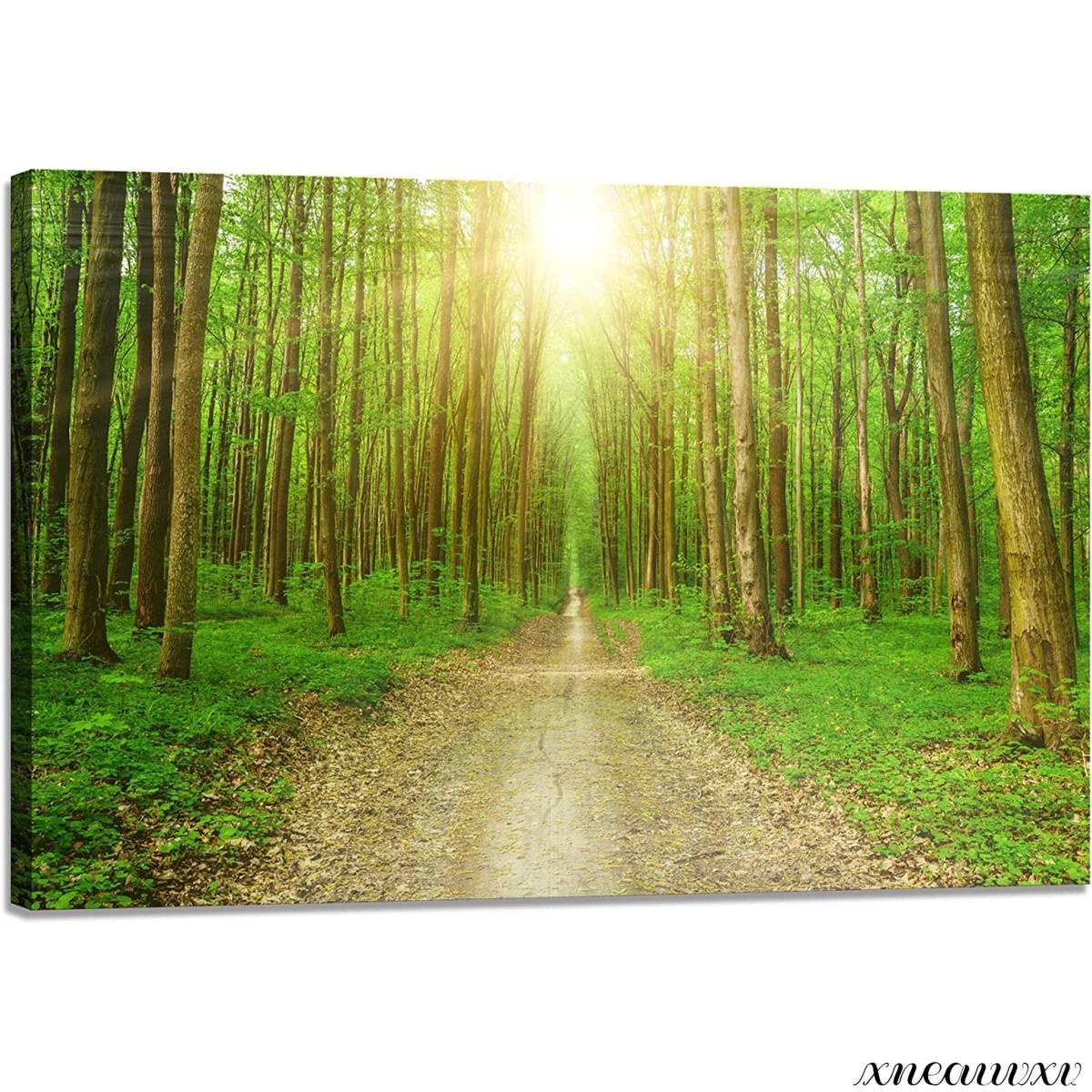 Light in the Forest Art Panel Nature Interior Landscape Wall Hanging Room Decoration Decorative Painting Canvas Painting Fashion Good Luck Overseas Art Appreciation Redecoration, artwork, painting, graphic
