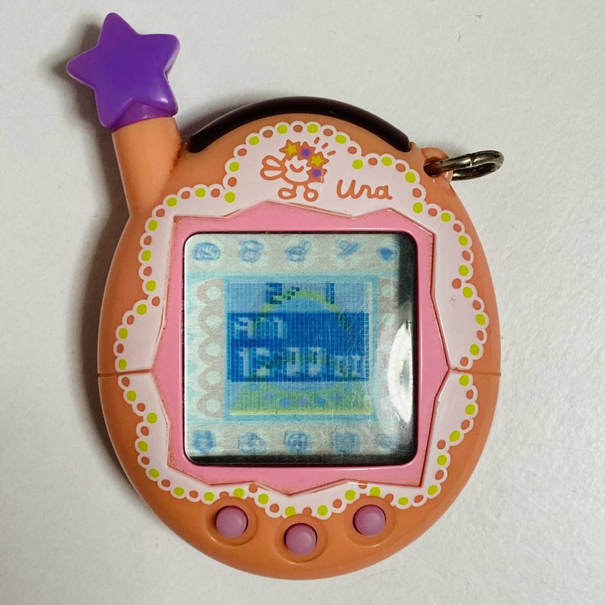 2025年最新】Yahoo!オークション -#ウラたまの中古品・新品・未 2025年最新】Yahoo!オークション -#ウラたまの中古品・新品・未