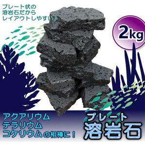 ボルケーノロック 溶岩石プレート 自然石 水槽用 アクアリウム用 【2kg】 簡単レイアウトで大迫力の水槽に 水質安定 バクテリア定着 