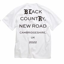 新品 BLACK COUNTRY NEW ROAD fujirock 限定 Tシャツ L BIG LOVE RECORDS ブラックカントリーニューロード フジロック ビッグラブレコーズ_画像1