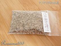 太平洋ロングビーチの砂　ヤフオクのみ出品！　愛知県　Beach Sand　Japan Aichi Prefecture_画像4