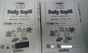 サピックス ＳＡＰＩＸ＊デイリー サピックス＊６年 小６＊国語 Ｂ＊読解と記述／全３８回 完全版＊２０２１年