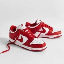 【新品未使用】NIKE DUNK LOW SP WHITE/UNIVERSITY RED_画像1