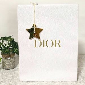 クリスチャン・ディオール「Christian Dior」ショッパー 星メタルチャーム付き( 956 ) 紙袋 ショップ袋 ブランド紙袋 スターチャーム 