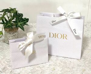 クリスチャン・ディオール「Christian Dior」ミニショッパー 2枚組( 957 ) 紙袋 ショップ袋 ブランド紙袋 アクセサリー・コスメ用サイズ