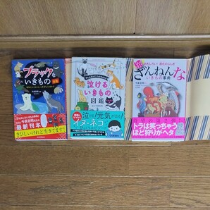 今泉忠明　続ざんねんないきもの事典　ブラックないきもの図鑑　泣けるいきもの図鑑　3冊