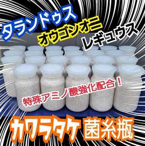 極上！カワラタケ菌糸瓶☆タランドゥスやオウゴンオニクワガタ、レギウスが巨大化！トレハロース、キトサンなど特殊アミノ酸強化配合！