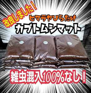 ダニ、線虫、コバエが湧いて困ってる方！是非お試しを！雑虫混入100％なし！新品の菌床を完全室内発酵！改良版ヒマラヤひらたけ発酵マット