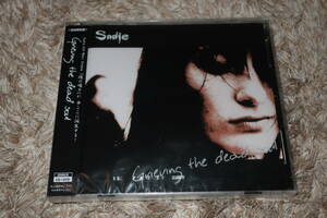 【V系】Sadie (サディ)　新品未開封・初回CD+DVD「Grieving the dead soul」