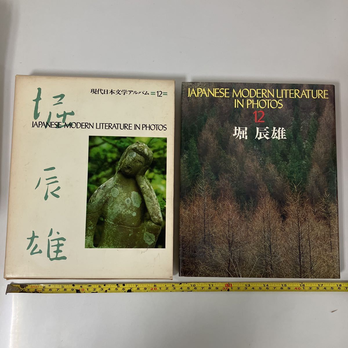 風立ちぬ 堀辰雄 限定500部版 www.thesciencebasement.org