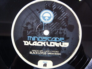 12inch MINDSCAPE & JADE & HYDRO / Black Lotus LP Sampler / Drum & Bass / 5枚以上で送料無料