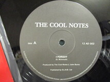 The Cool Notes ： I Forgot // c/w Baby I Just Want It //UK disco dance classics// 5点で送料無料/12_画像3