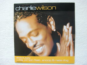 Charlie Wilson / Absolutely / Big Pimpin Featuring Nate Dogg, Snoop Dogg / Gap Band / 2001 UK 12インチ