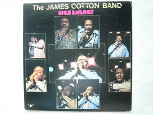 国内盤 / James Cotton Band / High Energy / Allen Toussaint / 1975