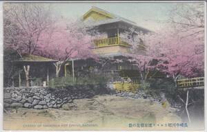 手彩色　長崎　中川郷カルルス温泉　桜の景