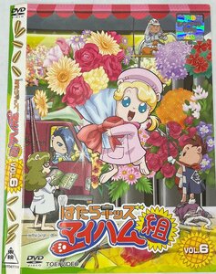 【送料無料】dw00830◆はたらキッズ マイハム組 VOL.6/レンタルUP中古品【DVD】