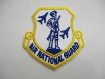 【送料無料】アメリカ空軍州兵AIR NATIONAL GUARD空軍州兵パッチ刺繍ワッペン/ANGエアフォースAIR FORCE米空軍USAF米軍USミリタリー M53_画像1