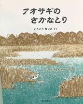 同梱歓迎・美品「アオサギのさかなとり」ちいさな　かがくのとも　福音館　とうごうなりさ　2015年　折り込み付録付き_画像2